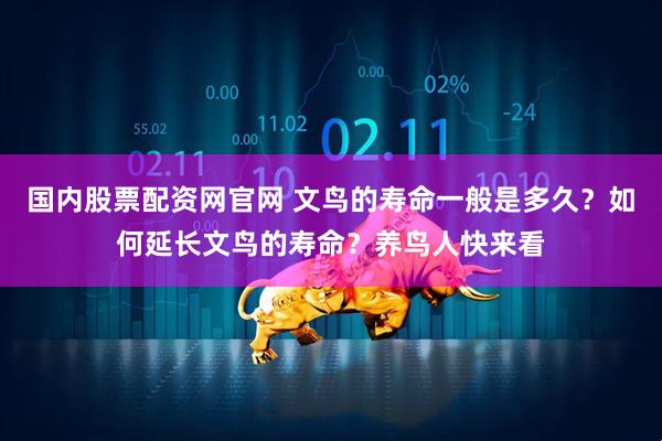 国内股票配资网官网 文鸟的寿命一般是多久？如何延长文鸟的寿命？养鸟人快来看