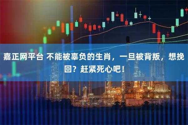 嘉正网平台 不能被辜负的生肖，一旦被背叛，想挽回？赶紧死心吧！