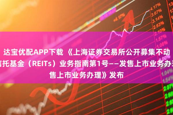 达宝优配APP下载 《上海证券交易所公开募集不动产投资信托基金（REITs）业务指南第1号——发售上市业务办理》发布